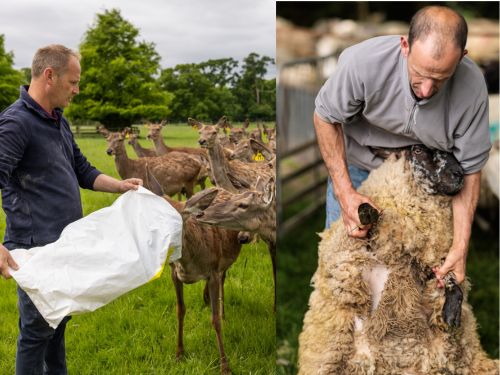 An Evening with the Farm Team