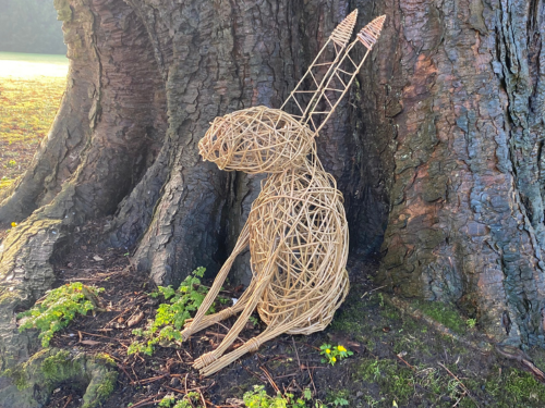 Willow Hares